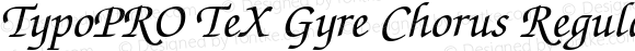 TypoPRO TeX Gyre Chorus Regular