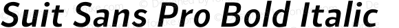 Suit Sans Pro Bold Italic