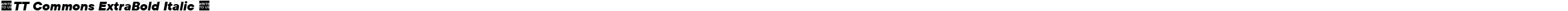 ☠TT Commons ExtraBold Italic ☠