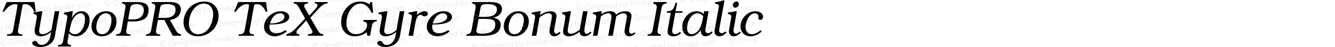 TypoPRO TeX Gyre Bonum Italic