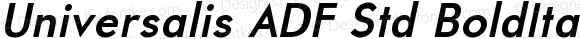 Universalis ADF Std Bold Italic