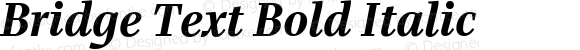 Bridge Text Bold Italic