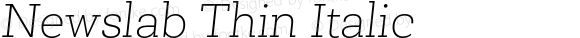 Newslab Thin Italic