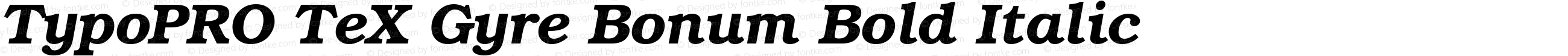 TypoPRO TeX Gyre Bonum Bold Italic