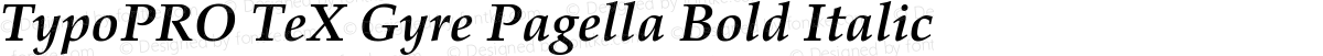 TypoPRO TeX Gyre Pagella Bold Italic