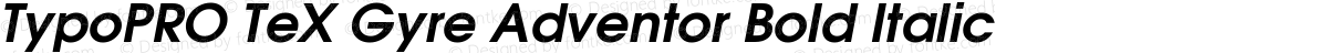 TypoPRO TeX Gyre Adventor Bold Italic