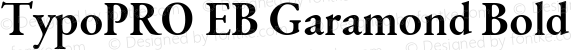 TypoPRO EB Garamond Bold