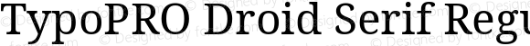TypoPRO Droid Serif Regular