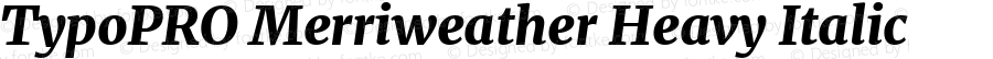 TypoPRO Merriweather Heavy Italic