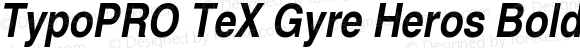 TypoPRO TeX Gyre Heros Bold Italic