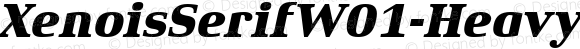 XenoisSerifW01-HeavyItalic Regular