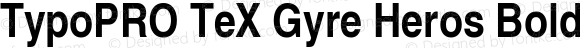 TypoPRO TeX Gyre Heros Bold