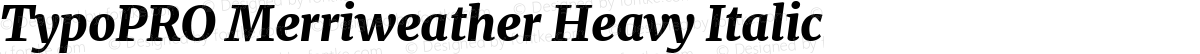 TypoPRO Merriweather Heavy Italic