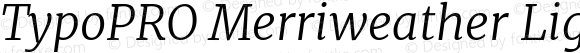 TypoPRO Merriweather Light Italic