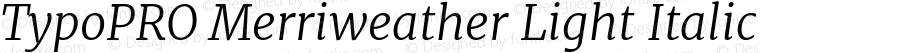 TypoPRO Merriweather Light Italic