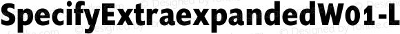 SpecifyExtraexpandedW01-LtIt Regular