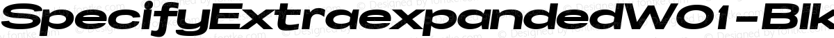 SpecifyExtraexpandedW01-BlkIt Regular