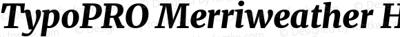 TypoPRO Merriweather Heavy Italic