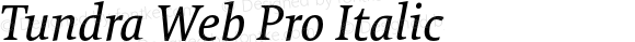 Tundra Web Pro Italic