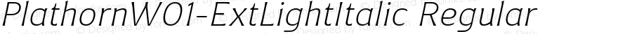 Plathorn W01 Ext Light Italic