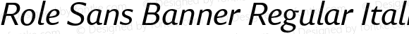 Role Sans Banner Regular Italic