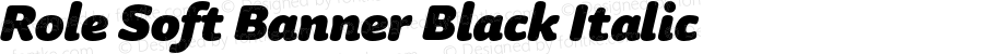 Role Soft Banner Black Italic