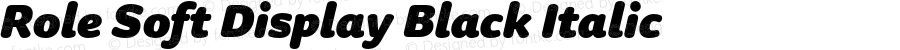 RoleSoftDisplay-BlackIt