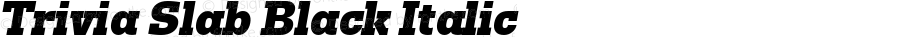 Trivia Slab Black Italic