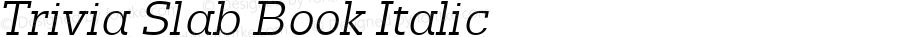 Trivia Slab Book Italic