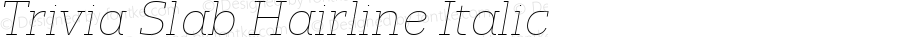 Trivia Slab Hairline Italic