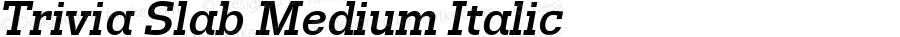 Trivia Slab Medium Italic