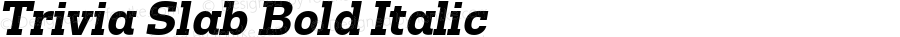 Trivia Slab Bold Italic
