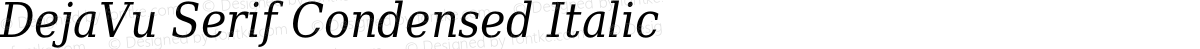 DejaVu Serif Condensed Italic