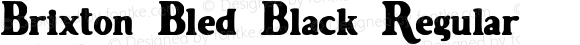 Brixton-Bled Black Regular