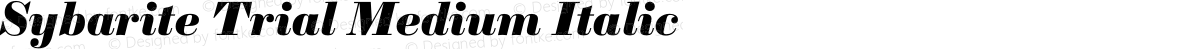 Sybarite Trial Medium Italic