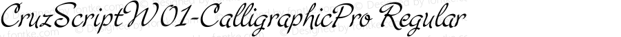 CruzScriptW01-CalligraphicPro Regular Version 1.00