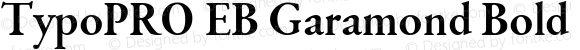 TypoPRO EB Garamond Bold