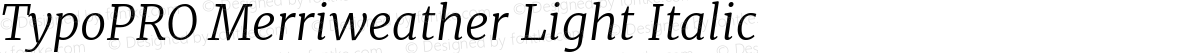 TypoPRO Merriweather Light Italic