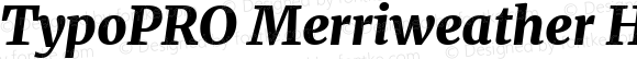 TypoPRO Merriweather Heavy Italic