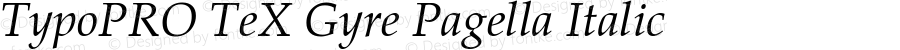 TypoPRO TeX Gyre Pagella Italic