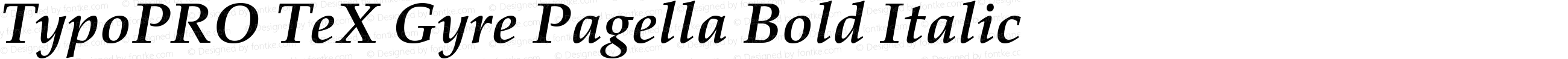 TypoPRO TeXGyrePagella-BoldItalic