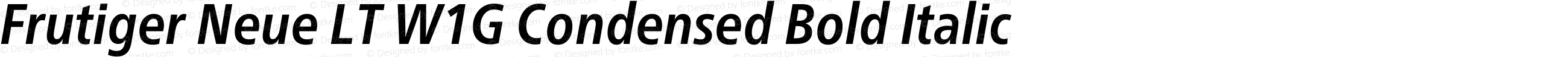 Frutiger Neue LT W1G Cn Book Bold Italic