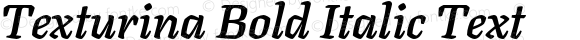 Texturina Bold Italic Text