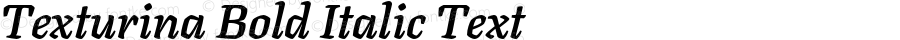 Texturina Bold Italic Text