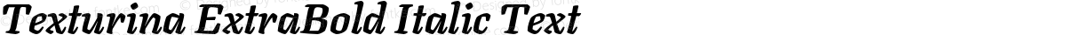 Texturina ExtraBold Italic Text