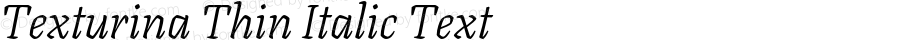 Texturina Thin Italic Text