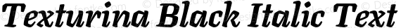 Texturina Black Italic Text