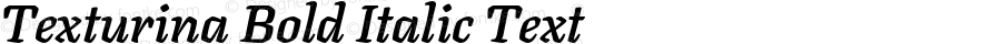 Texturina Bold Italic Text