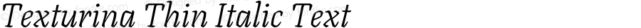 Texturina Thin Italic Text