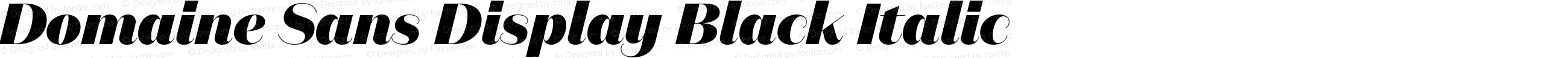 Domaine Sans Display Black Italic